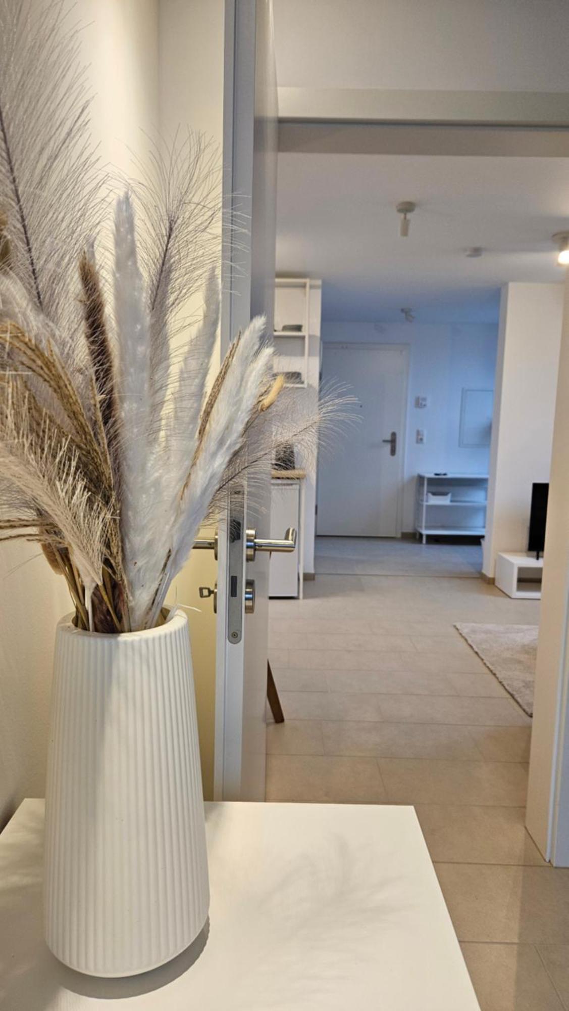 Ferienwohnung As5 Two Bamberg - Zentrale Lage Mit Parkplatz Халльштадт Экстерьер фото